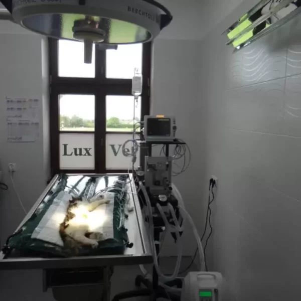 Lux-Vet - chirurgia